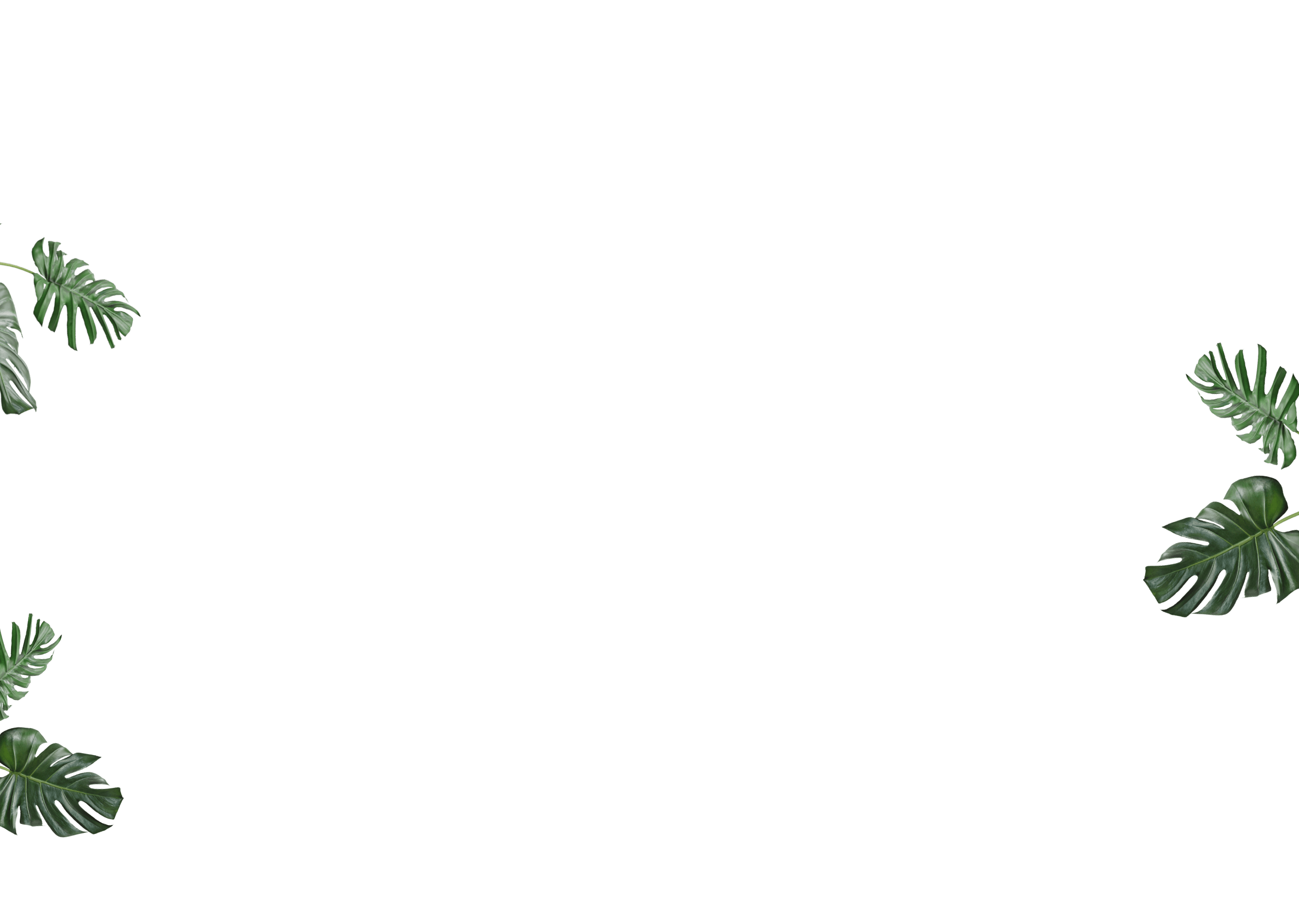 1072-r212-desktop---5-3-1.png